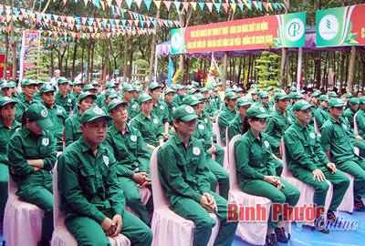 Photos of Phu Rieng rubber